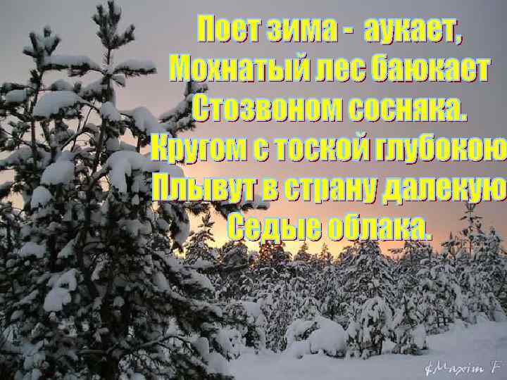 Здравствуй, лес, дремучий лес, полный сказок и чудес! Ты о чем шумишь листвою ночью