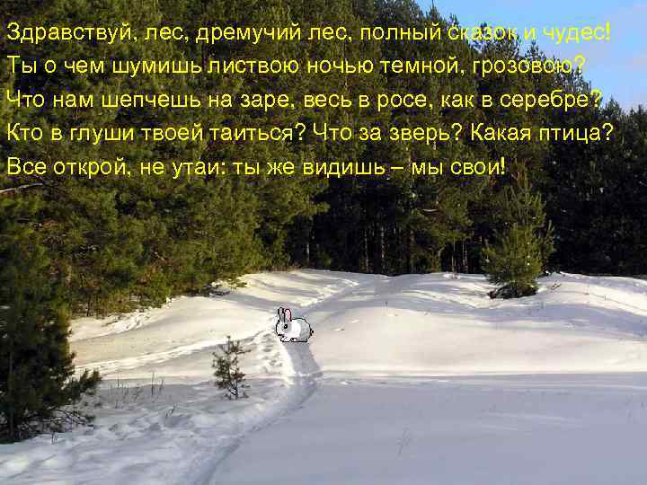 Меня не растили. Из снега слепили. Вместо носа ловко вставили морковку. Глаза угольки. Руки-сучки.