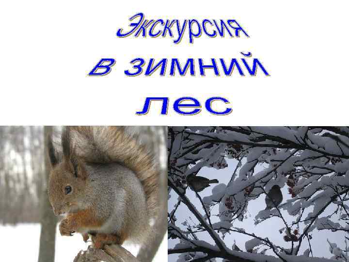 Я мороза не боюсь, С ним я крепко подружусь. Подойдет ко мне мороз, Тронет