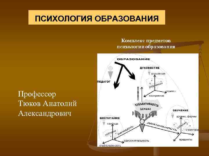 ПСИХОЛОГИЯ ОБРАЗОВАНИЯ Комплекс предметов психологии образования Профессор Тюков Анатолий Александрович 