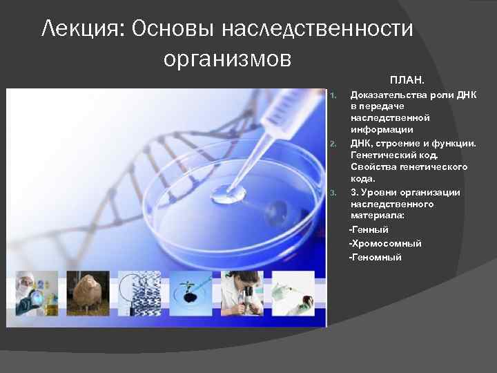 Лекция: Основы наследственности организмов ПЛАН. 1. 2. 3. Доказательства роли ДНК в передаче наследственной