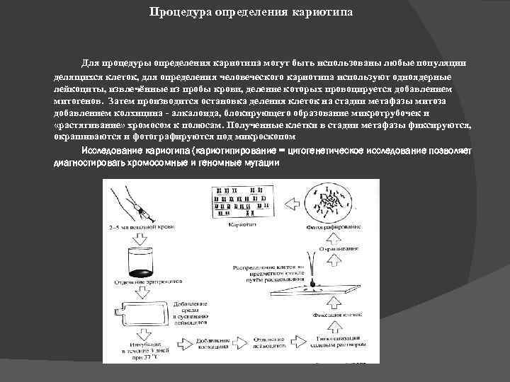 Процедура определения кариотипа Для процедуры определения кариотипа могут быть использованы любые популяции делящихся клеток,