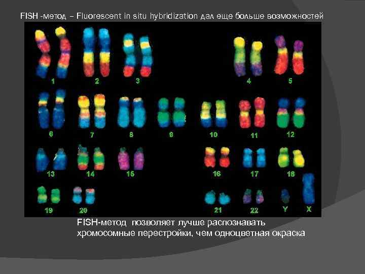 FISH -метод – Fluorescent in situ hybridization дал еще больше возможностей FISH-метод позволяет лучше
