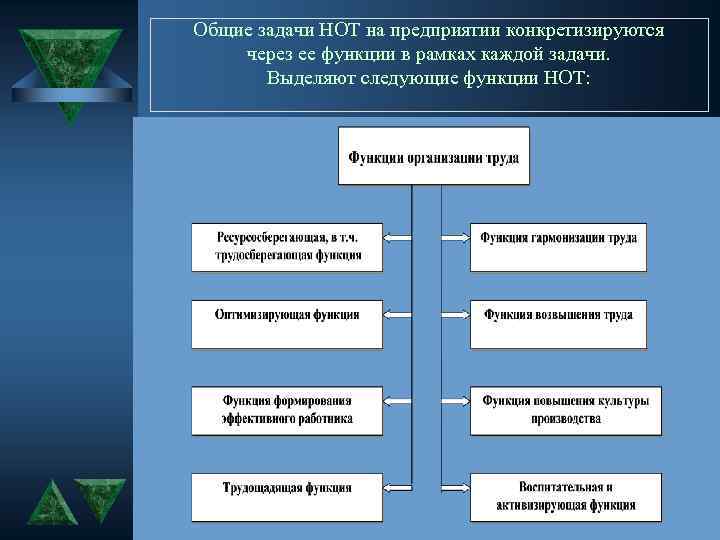 Общие задачи НОТ на предприятии конкретизируются через ее функции в рамках каждой задачи. Выделяют