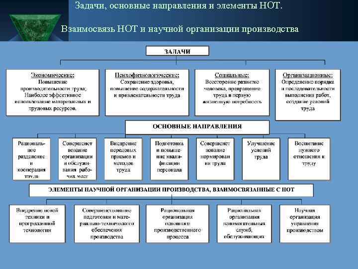 Задачи, основные направления и элементы НОТ. Взаимосвязь НОТ и научной организации производства 02. 2018
