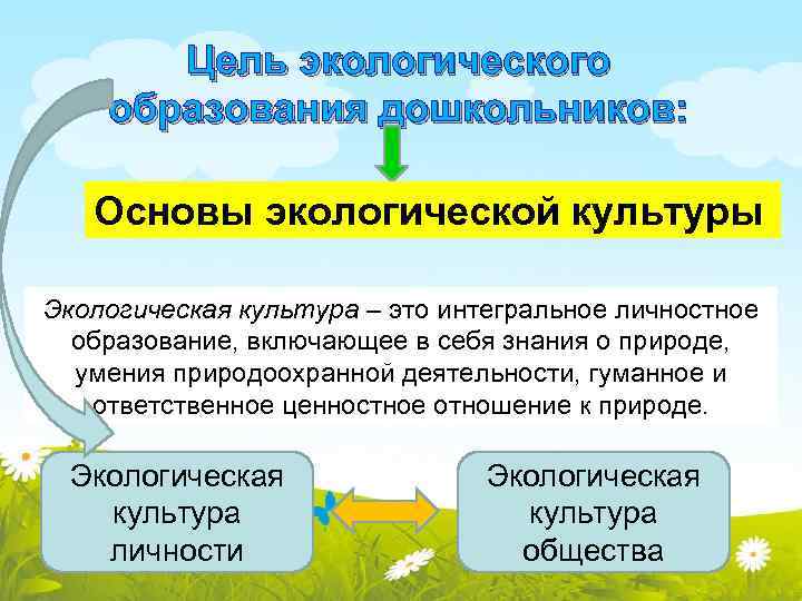 Цель экологического образования дошкольников: Основы экологической культуры Экологическая культура – это интегральное личностное образование,
