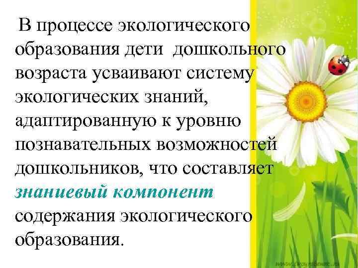 В процессе экологического образования дети дошкольного возраста усваивают систему экологических знаний, адаптированную к уровню