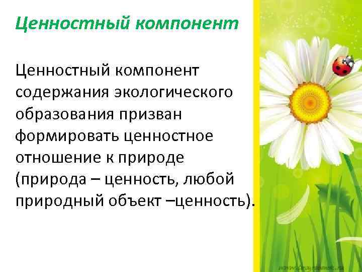 Ценностный компонент содержания экологического образования призван формировать ценностное отношение к природе (природа – ценность,