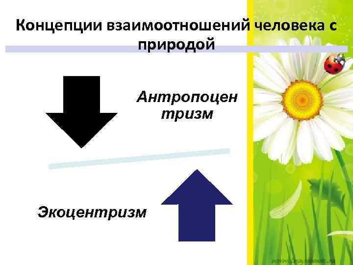 Концепции взаимоотношений человека с природой Антропоцен тризм Экоцентризм 