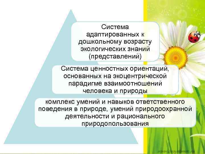 Система адаптированных к дошкольному возрасту экологических знаний (представлений) Система ценностных ориентаций, основанных на экоцентрической