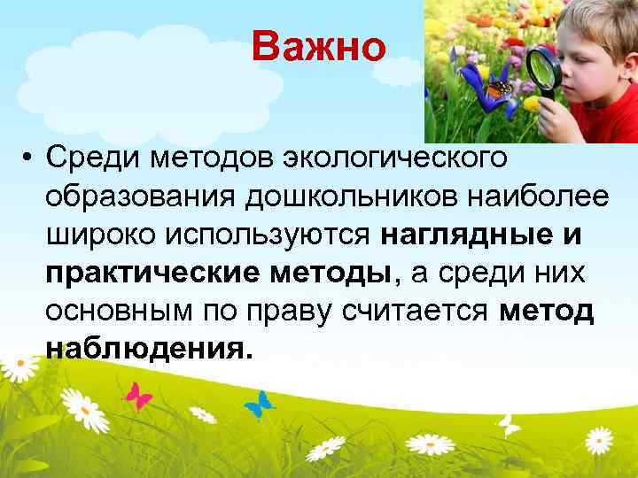 Важно • Среди методов экологического образования дошкольников наиболее широко используются наглядные и практические методы,