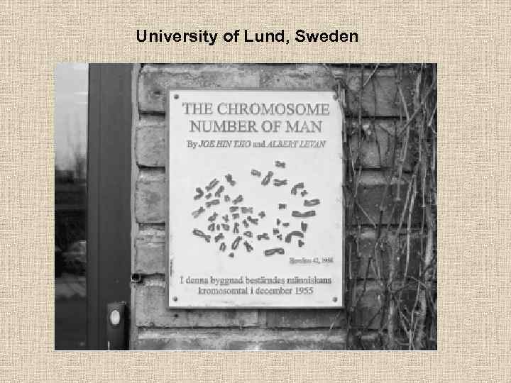University of Lund, Sweden 