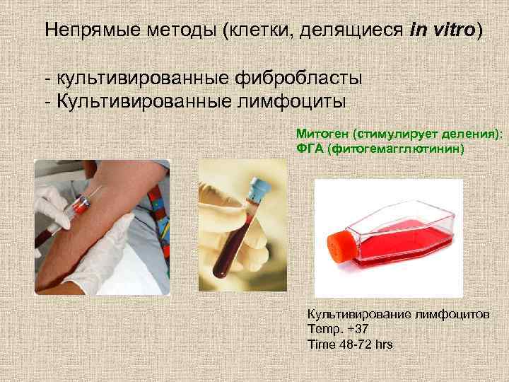 Непрямые методы (клетки, делящиеся in vitro) - культивированные фибробласты - Культивированные лимфоциты Митоген (стимулирует