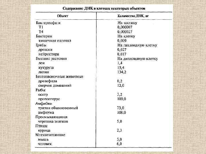 В соматических клетках дрозофилы содержится