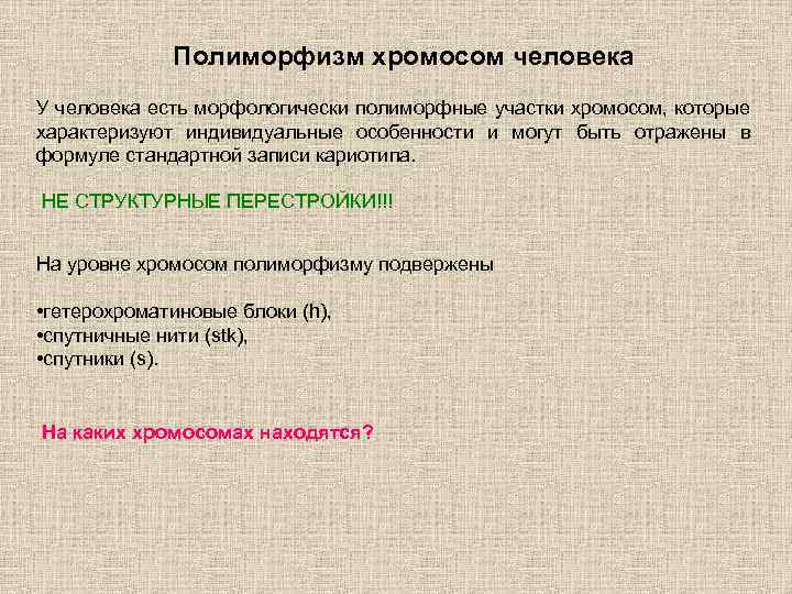 Полиморфизм хромосом человека У человека есть морфологически полиморфные участки хромосом, которые характеризуют индивидуальные особенности