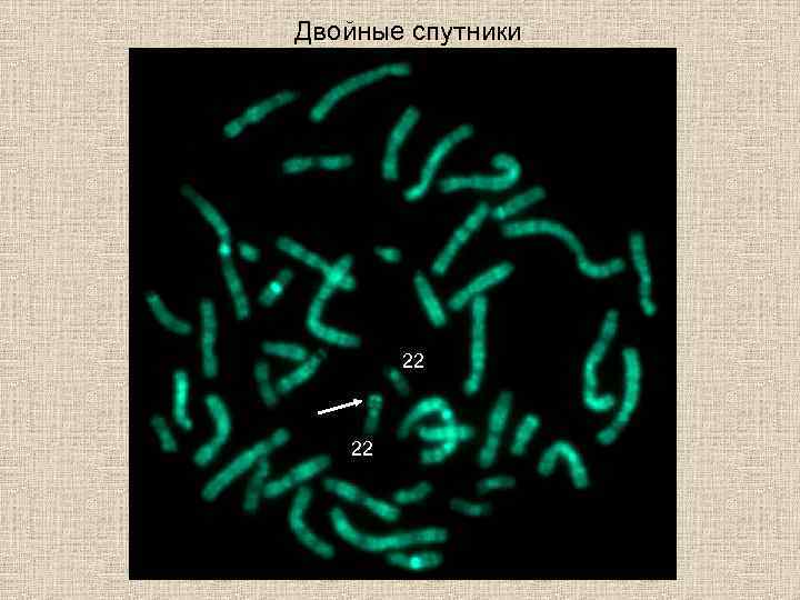 Двойные спутники 22 22 