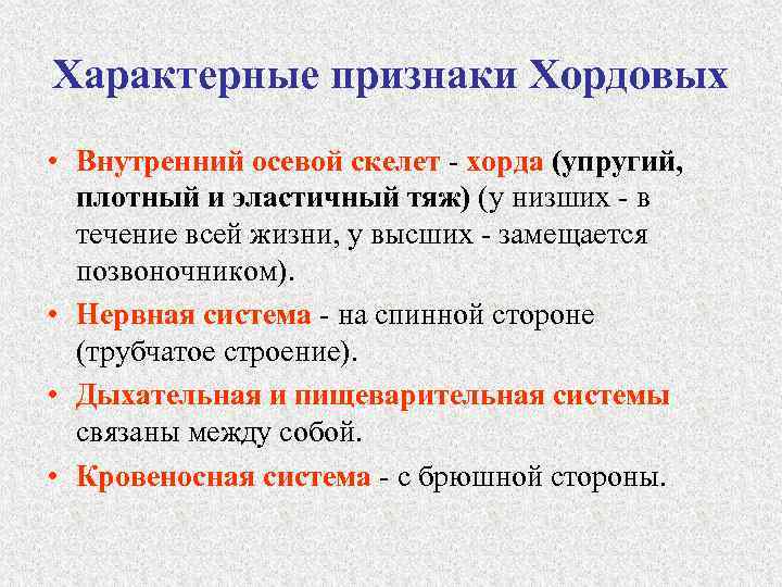 Характерные признаки Хордовых • Внутренний осевой скелет - хорда (упругий, плотный и эластичный тяж)