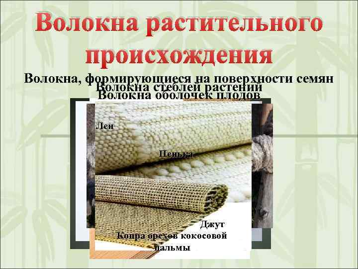 Волокна растительного происхождения Волокна, формирующиеся на поверхности семян Волокна стеблей растений Волокна оболочек плодов