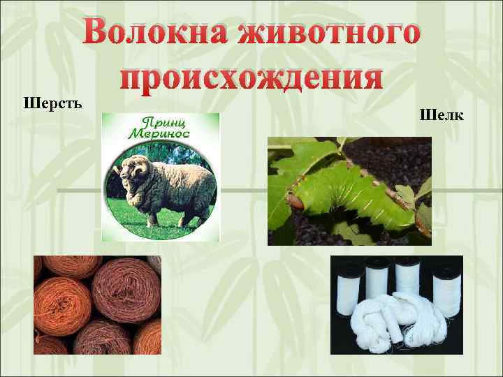 Шерсть Волокна животного происхождения Шелк 