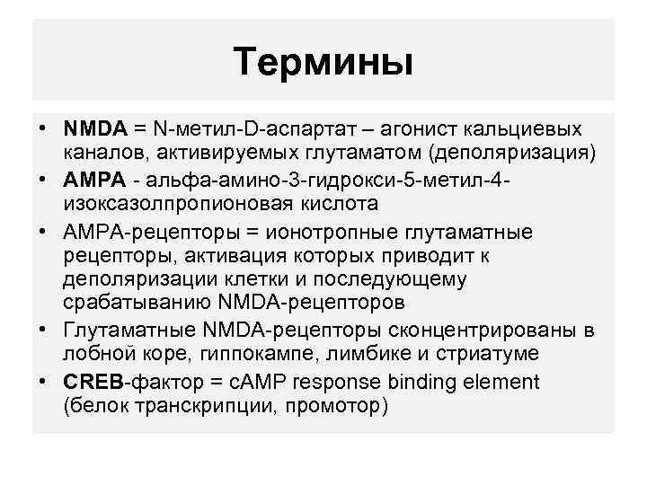 Термины • NMDA = N-метил-D-аспартат – агонист кальциевых каналов, активируемых глутаматом (деполяризация) • AMPA
