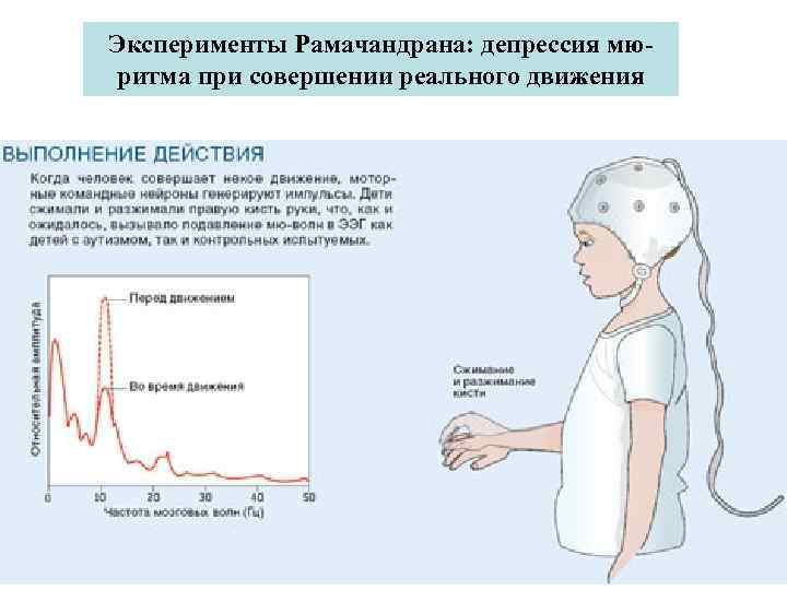 Эксперименты Рамачандрана: депрессия мюритма при совершении реального движения 
