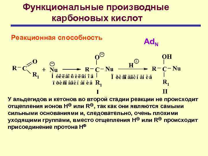 Функциональные производные карбоновых кислот Реакционная способность Ad. N У альдегидов и кетонов во второй