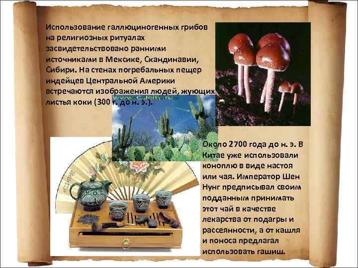 Использование галлюциногенных грибов на религиозных ритуалах засвидетельствовано ранними источниками в Мексике, Скандинавии, Сибири. На
