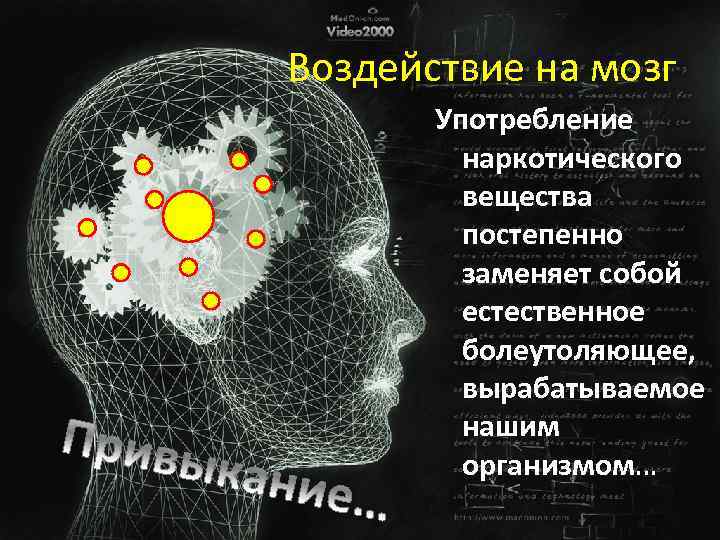 Воздействие на мозг Употребление наркотического вещества постепенно заменяет собой естественное болеутоляющее, вырабатываемое нашим организмом…