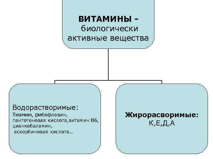 ВИТАМИНЫ биологически активные вещества Водорастворимые: Тиамин, рибофлавин, пантотеновая кислота, витамин В 6, цианкобаламин, аскорбиновая
