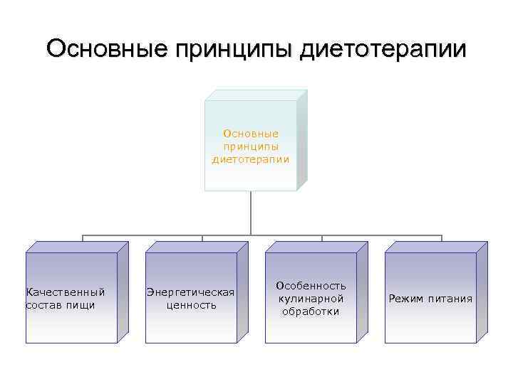 Основные принципы диетотерапии схема