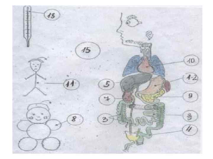 номера диет назначаемых при заболевании соответствующих органов. @ Максимова И. Г. 