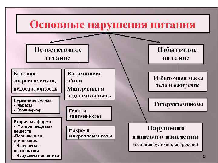 Диаграмма рационального питания