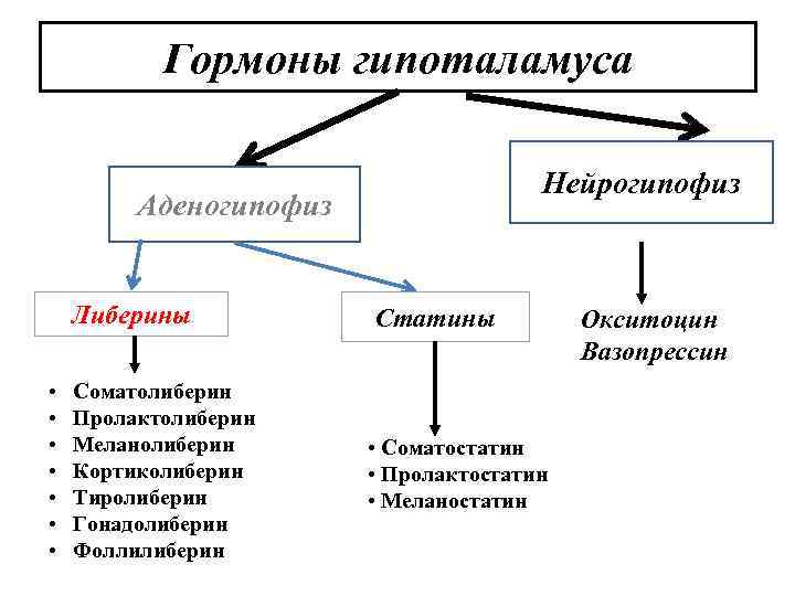 Гормоны гипоталамуса Нейрогипофиз Аденогипофиз Либерины • • Соматолиберин Пролактолиберин Меланолиберин Кортиколиберин Тиролиберин Гонадолиберин Фоллилиберин