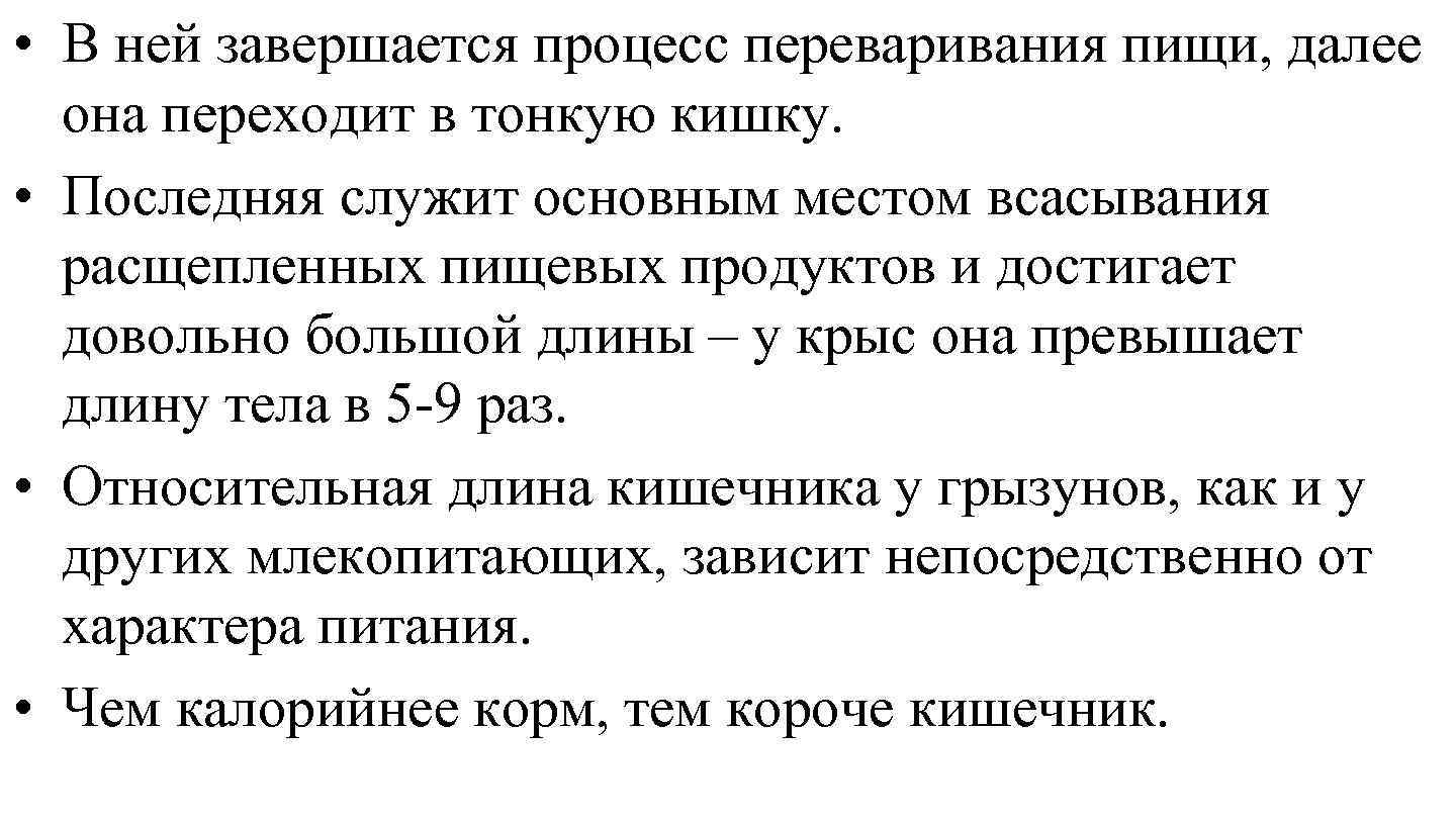  • В ней завершается процесс переваривания пищи, далее она переходит в тонкую кишку.