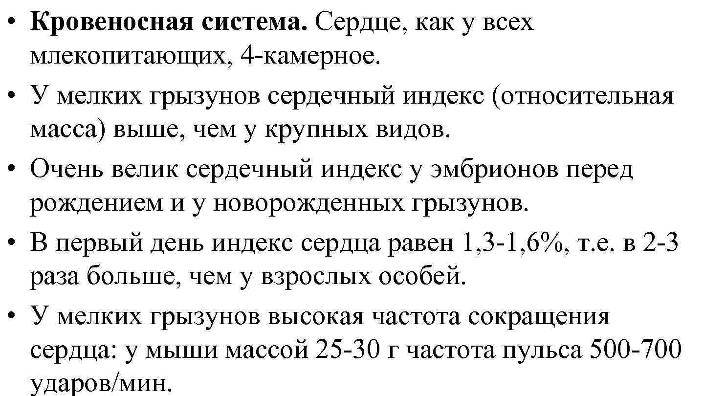  • Кровеносная система. Сердце, как у всех млекопитающих, 4 -камерное. • У мелких