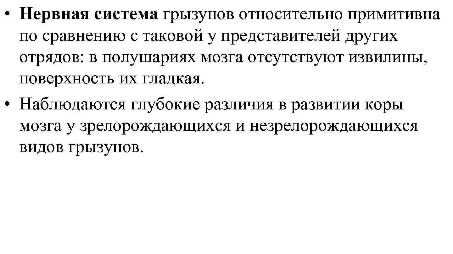  • Нервная система грызунов относительно примитивна по сравнению с таковой у представителей других