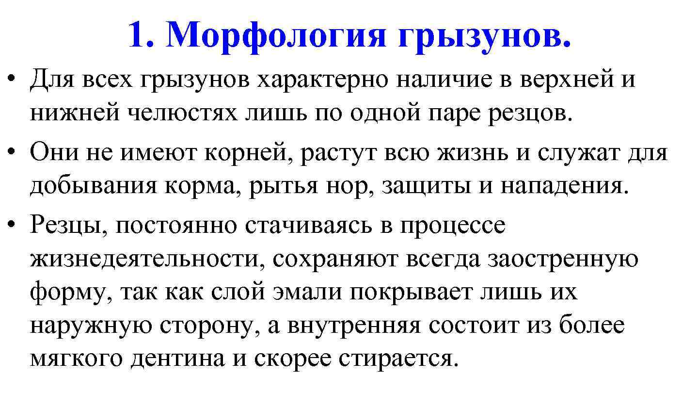 1. Морфология грызунов. • Для всех грызунов характерно наличие в верхней и нижней челюстях