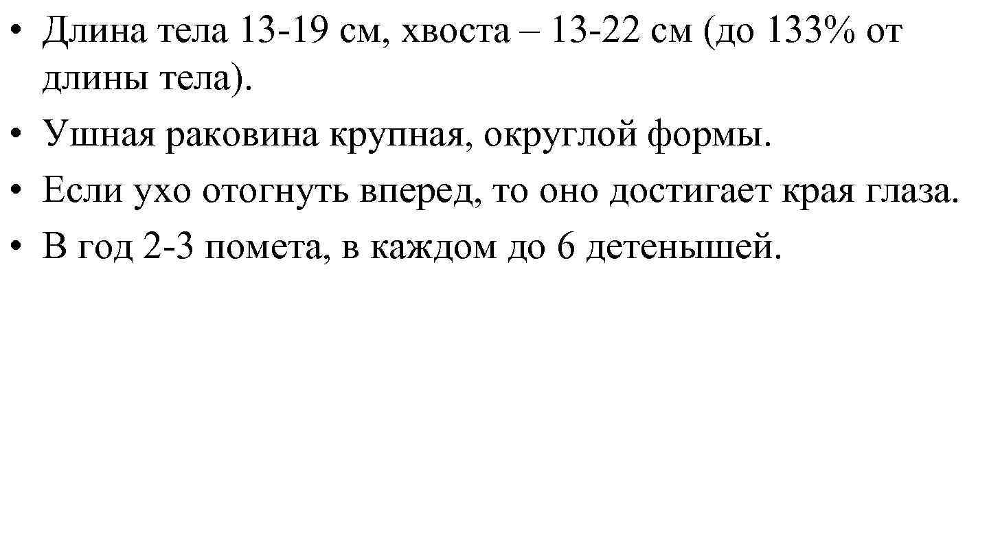  • Длина тела 13 -19 см, хвоста – 13 -22 см (до 133%