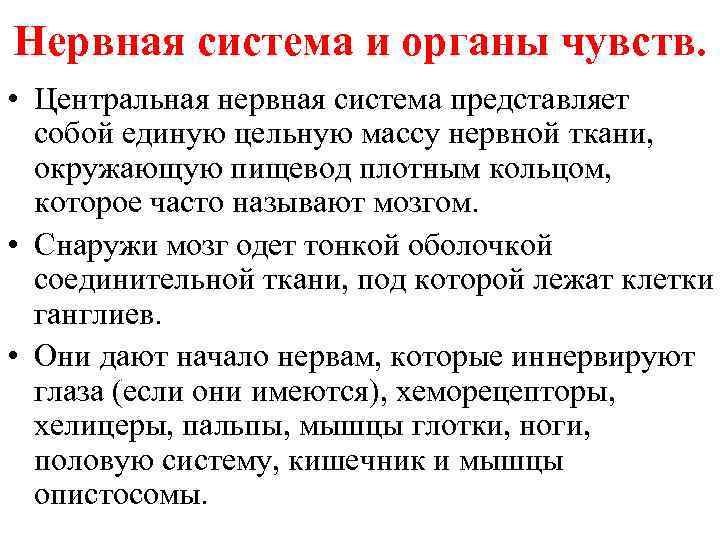 Нервная система и органы чувств. • Центральная нервная система представляет собой единую цельную массу