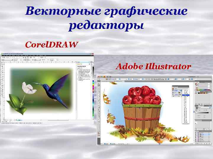 Векторные графические редакторы Corel. DRAW Adobe Illustrator 