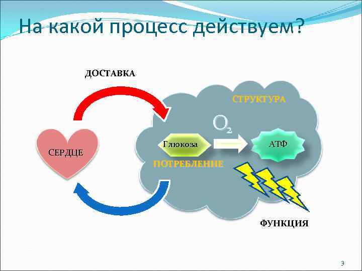 На какой процесс действуем? ДОСТАВКА СТРУКТУРА O 2 СЕРДЦЕ Глюкоза АТФ ПОТРЕБЛЕНИЕ ФУНКЦИЯ 3