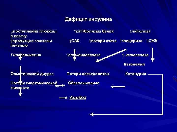 Дефицит инсулина ↓поступления глюкозы в клетку ↑продукции глюкозы печенью Гипергликемия ↑катаболизма белка ↑САК ↑липолиза