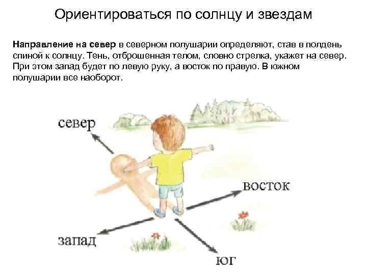 Какая линия совпадает с линией в полдень. Ориентирование по солнцу. Ориентир по солнцу. Ориентация по солнцу.