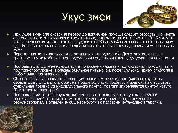  Укус змеи ► При укусе змеи для оказания первой до врачебной помощи следует