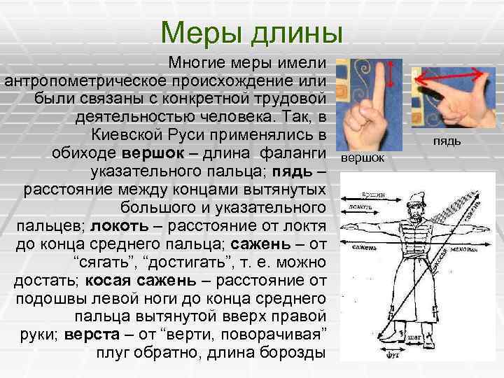 Меры длины Многие меры имели антропометрическое происхождение или были связаны с конкретной трудовой деятельностью