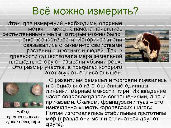 Всё можно измерить? Итак, для измерений необходимы опорные метки — меры. Сначала появились «естественные»