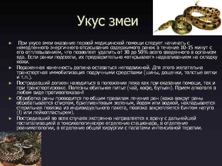 Укус змеи ► ► ► При укусе змеи оказание первой медицинской помощи следует начинать