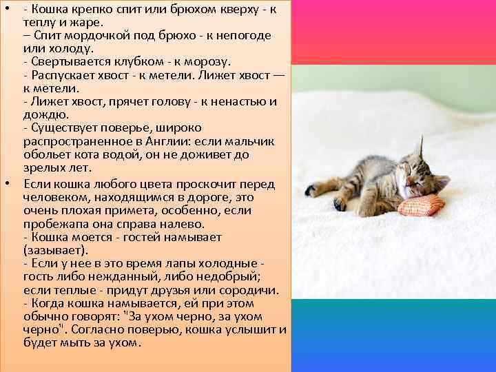  • - Кошка крепко спит или брюхом кверху - к теплу и жаре.