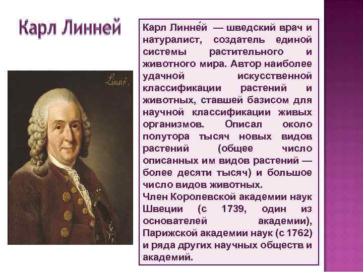 Карл Линне й — шведский врач и натуралист, создатель единой системы растительного и животного