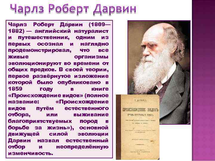 Чарлз Ро берт Да рвин (1809— 1882) — английский натуралист и путешественник, одним из